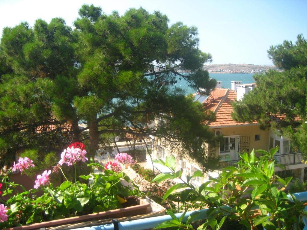 Mavi Pension Otel Ayvalı Dış mekan fotoğraf