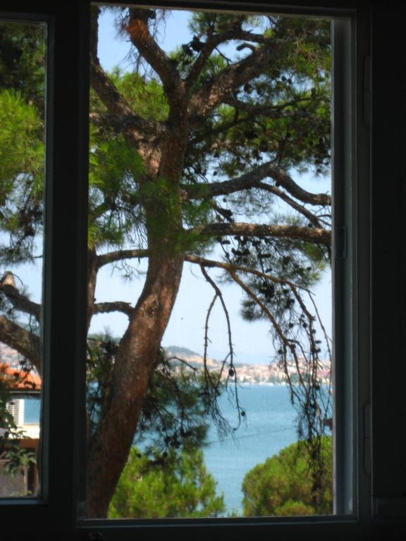 Mavi Pension Otel Ayvalı Dış mekan fotoğraf